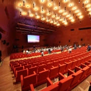 internal cladding auditorium la Nuvola